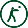 Throwing a ball.
